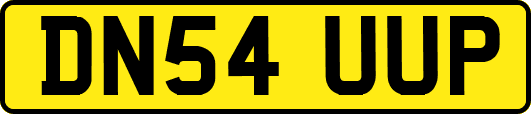 DN54UUP