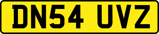 DN54UVZ