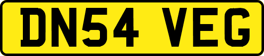 DN54VEG