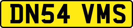 DN54VMS