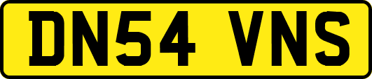 DN54VNS