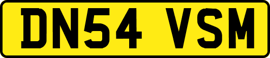 DN54VSM