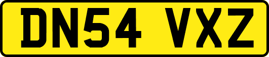 DN54VXZ
