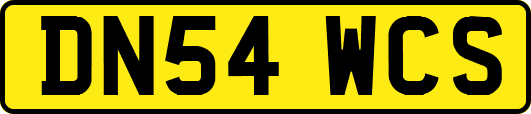 DN54WCS