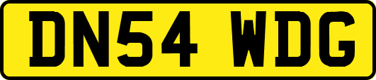 DN54WDG