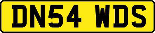 DN54WDS