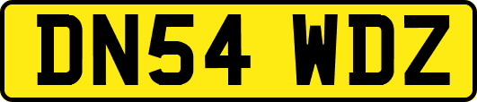 DN54WDZ