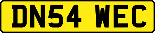 DN54WEC