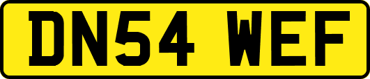 DN54WEF
