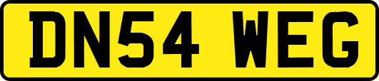 DN54WEG