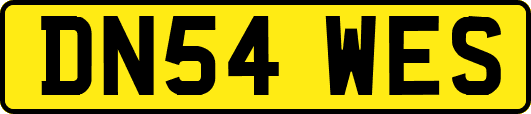 DN54WES