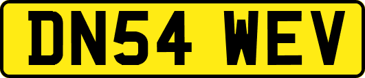 DN54WEV