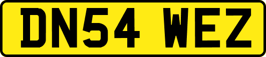 DN54WEZ