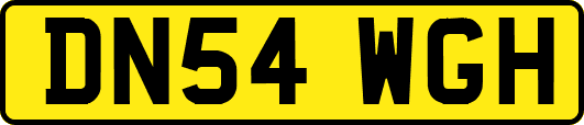 DN54WGH