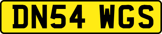 DN54WGS