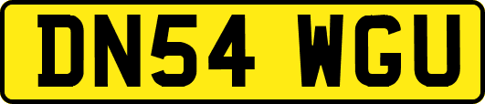 DN54WGU