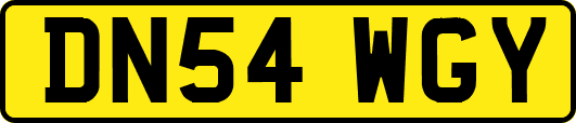DN54WGY