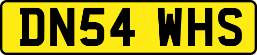 DN54WHS