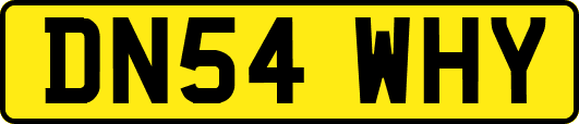 DN54WHY