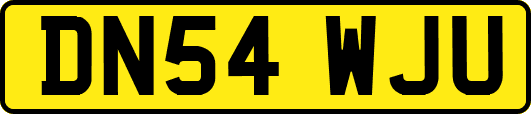 DN54WJU