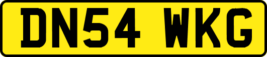 DN54WKG