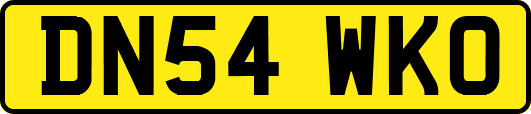 DN54WKO