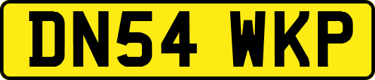 DN54WKP