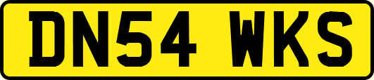 DN54WKS