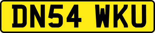 DN54WKU