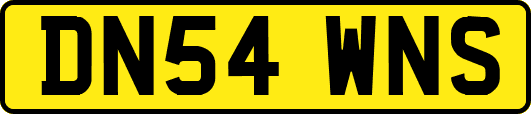 DN54WNS