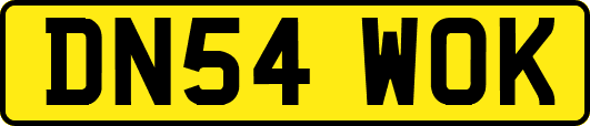 DN54WOK