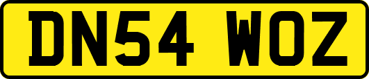 DN54WOZ