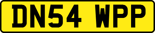 DN54WPP