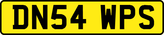 DN54WPS