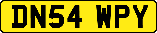 DN54WPY