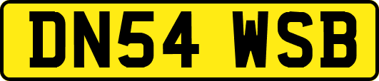 DN54WSB