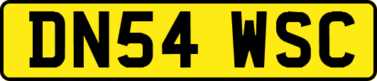 DN54WSC