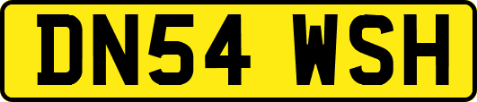 DN54WSH