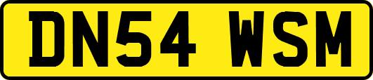 DN54WSM