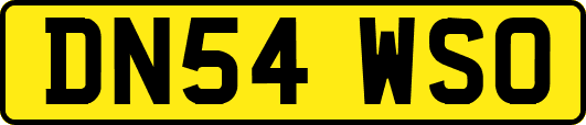 DN54WSO