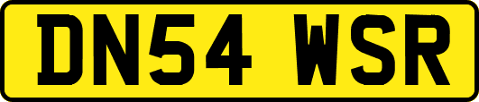 DN54WSR