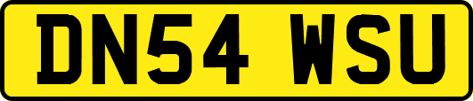 DN54WSU