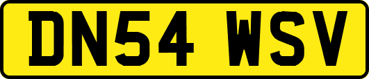 DN54WSV
