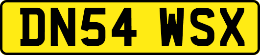 DN54WSX