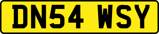 DN54WSY