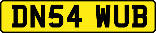 DN54WUB