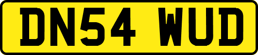 DN54WUD