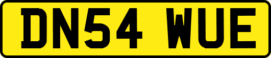 DN54WUE