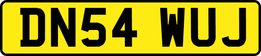 DN54WUJ