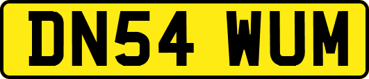 DN54WUM
